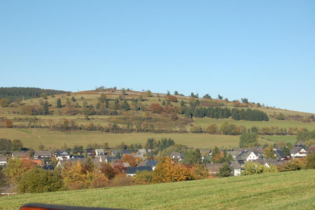 Ferienwohnungen Westfalenhof Willingen  Kültér fotó